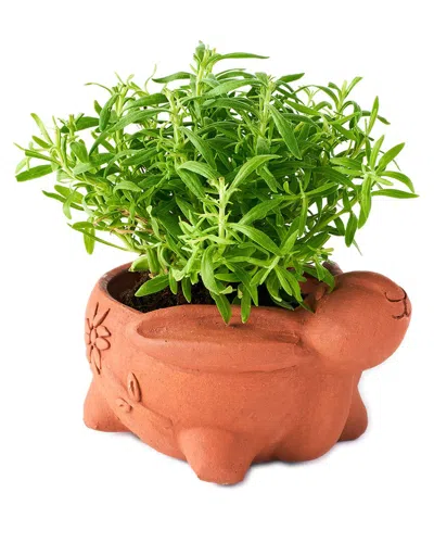 Matr Boomie Rakshana Rabbit Plant Pot In Orange