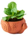 Matr Boomie Rakshana Snail Plant Pot