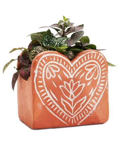 Matr Boomie Vasanta Heart Planter With Drainage In Multi