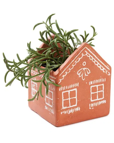Matr Boomie Vasanta House Planter With Drainage In Orange
