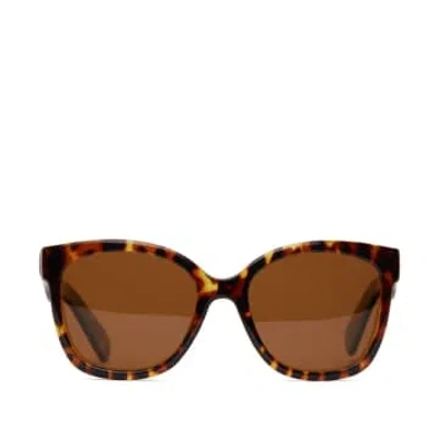 Matt & Nat Clea Sunglasses In Brown