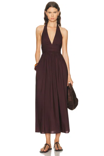 Matteau Plunge Halter Dress In Purple