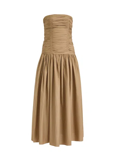 Matteau Strapless Drop Waist Cotton-poplin Midi Dress In Brown