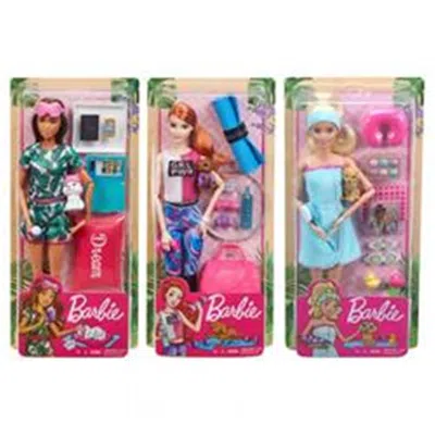 Mattel Barbie-wellness Toys Assortment - 4 Piece