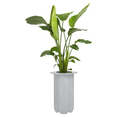 Pre-owned Matteo Cibic 21st Century  Big Vase Glossy Lacquered Mdf Scapin In Brown