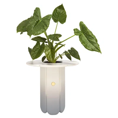 Pre-owned Matteo Cibic 21st Century  Vase Table Matt Faded Lacquered Mdf Scapin Collezioni In Brown