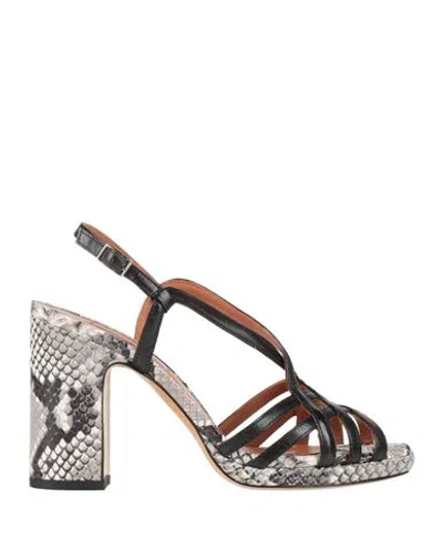 Matteo Pitti Bologna Woman Sandals Black Size 7.5 Leather