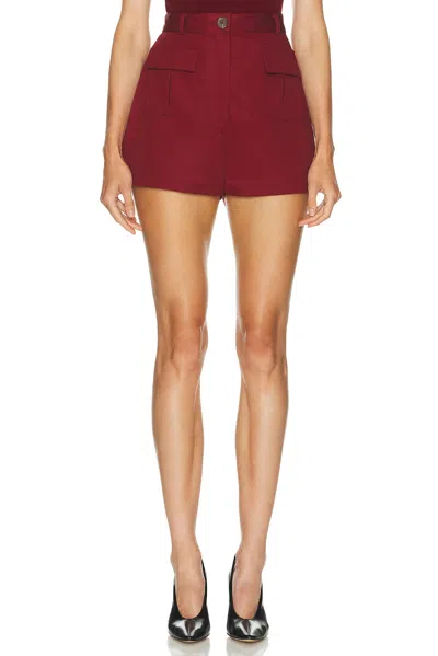Matthew Bruch Cargo Hot Short In Brown