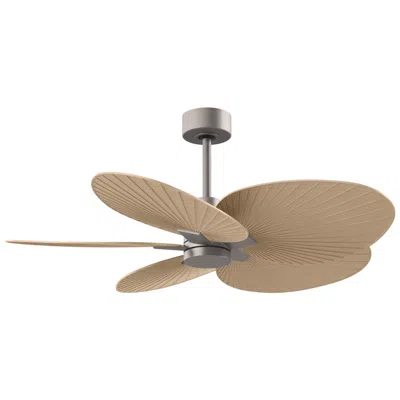 Matthews Fan Company Alessandra Tropical 48" Nickel Ceiling Fan W/ Light Maple Blades