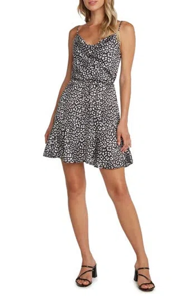 Matty M . Freddie Leopard Print Cowl Neck Minidress In Black