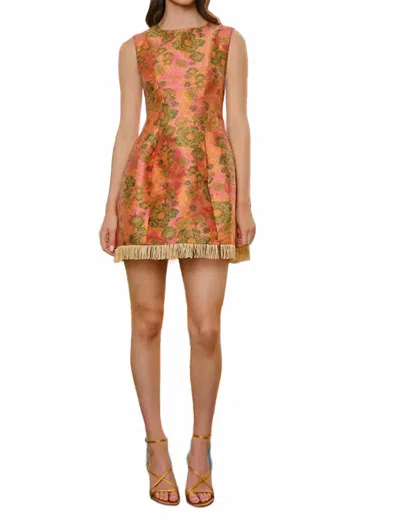 Maude Felicity Brocade Dress In Berry Multi In Brown