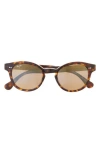 Maui Jim 49mm Core Round Polarized Sunglasses In Tortoise Tortoise Bronze