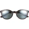 Maui Jim 49mm Core Round Polarized Sunglasses In Tortoise Tortoise Grey