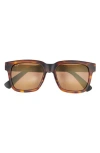 Maui Jim 54mm Polarized Square Sunglasses In Multi