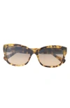 Maui Jim 55mm Cat Eye Sunglasses In Tortoise Tortoise Bronze