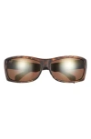 Maui Jim 65mm Polarized Shield Sunglasses In Tortoise Tortoise Bronze