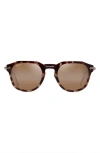 Maui Jim Alika 49mm Polarized Keyhole Sunglasses In Tortoise W/gold