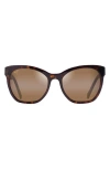 Maui Jim Alulu 56mm Polarizedplus2® Cat Eye Sunglasses