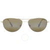 Maui Jim Baby Beach Reader Hcl Bronze +2.50 Pilot Unisex Sunglasses H245-1625 56 In Bronze / Gold