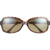 Maui Jim Core 56mm Polarized Round Sunglasses In Tortoise Tortoise Green