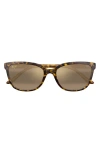 Maui Jim Honi 54mm Polarizedplus2® Cat Eye Sunglasses In Brown/hcl Bronze