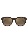 Maui Jim Ihupani Af 53mm Polarizedplus2® Round Sunglasses In Brown/hcl Bronze
