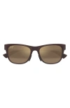 Maui Jim Rectangle-frame Sunglasses In Brown