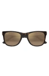 Maui Jim Kikonia Xl 53mm Wraparound Rectangular Sunglasses In Brown