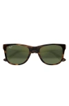 Maui Jim Kikonia Xl 53mm Wraparound Rectangular Sunglasses In Brown