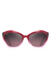 Maui Jim Lotus Rs827-13f Sunglasses In Raspberry Fade/maui Rose