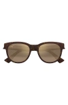Maui Jim Maoli 52mm Polarizedplus2® Round Sunglasses In Matte Dark Havana