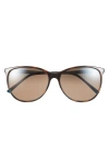 Maui Jim Ocean 57mm Polarizedplus2® Cat Eye Sunglasses In Bronze