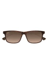 Maui Jim Okina 55mm Polarized Rectangular Sunglasses In Brown