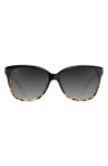 Maui Jim Starfish 56mm Polarizedplus2® Cat Eye Sunglasses In Black/tortoise