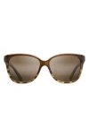 Maui Jim Starfish 56mm Polarizedplus2® Cat Eye Sunglasses In Clear Chocolate/tortoise