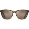 Maui Jim Sugar Cane 57mm Polarized Square Sunglasses In Transparent Mocha/hcl Bronze