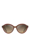 Maui Jim Sunglasses In Brown