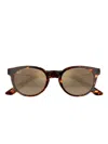Maui Jim Tortoiseshell Round Sunglasses In Brown