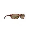 Maui Jim Unisex - Kipahulu Sunglasses In Matte Tortoise Rubber/bronze In Multi