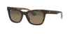 Maui Jim Unisex Sunglass Hiwahiwa