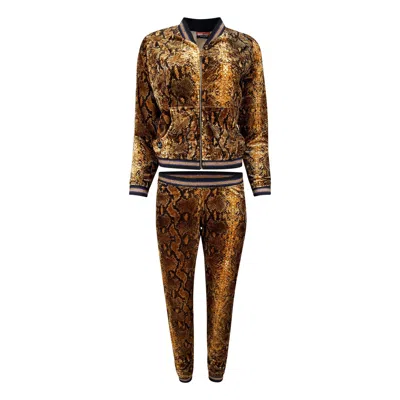 Maui X Lolita Brown / Black / Gold Foxy Velour Python Print Tracksuit In Brown/black/gold