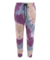 Mauna Kea Pants In Multicolor