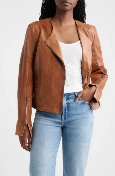 Mauritius Athena Perforated Leather Jacket In Brown