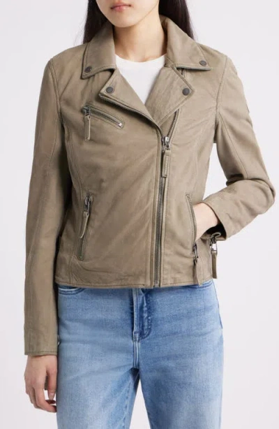 Mauritius Misty Star Back Detail Leather Moto Jacket In Brown
