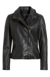 Mauritius Morgan Studded Leather Moto Jacket In Black