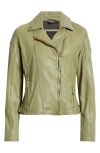 Mauritius Raizel Leather Moto Jacket In Green