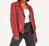 Mauritius Sheep Star Jacket In Red In Pink