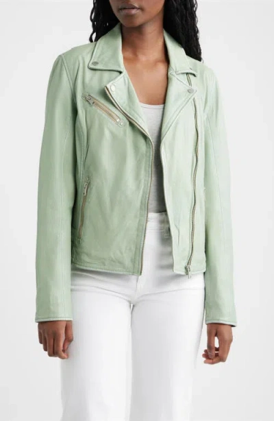Mauritius Sofia Lambskin Moto Jacket In Green