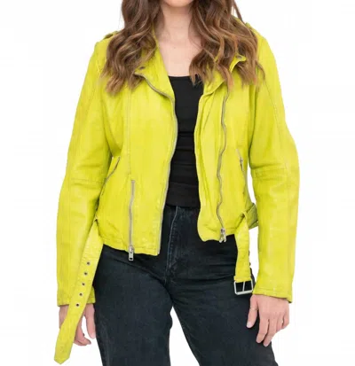 Mauritius Wild Leather Jacket In Lime In Yellow