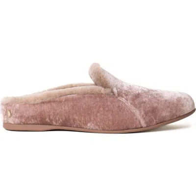 Mave & Chez Maya Velvet Slipper In Champagne